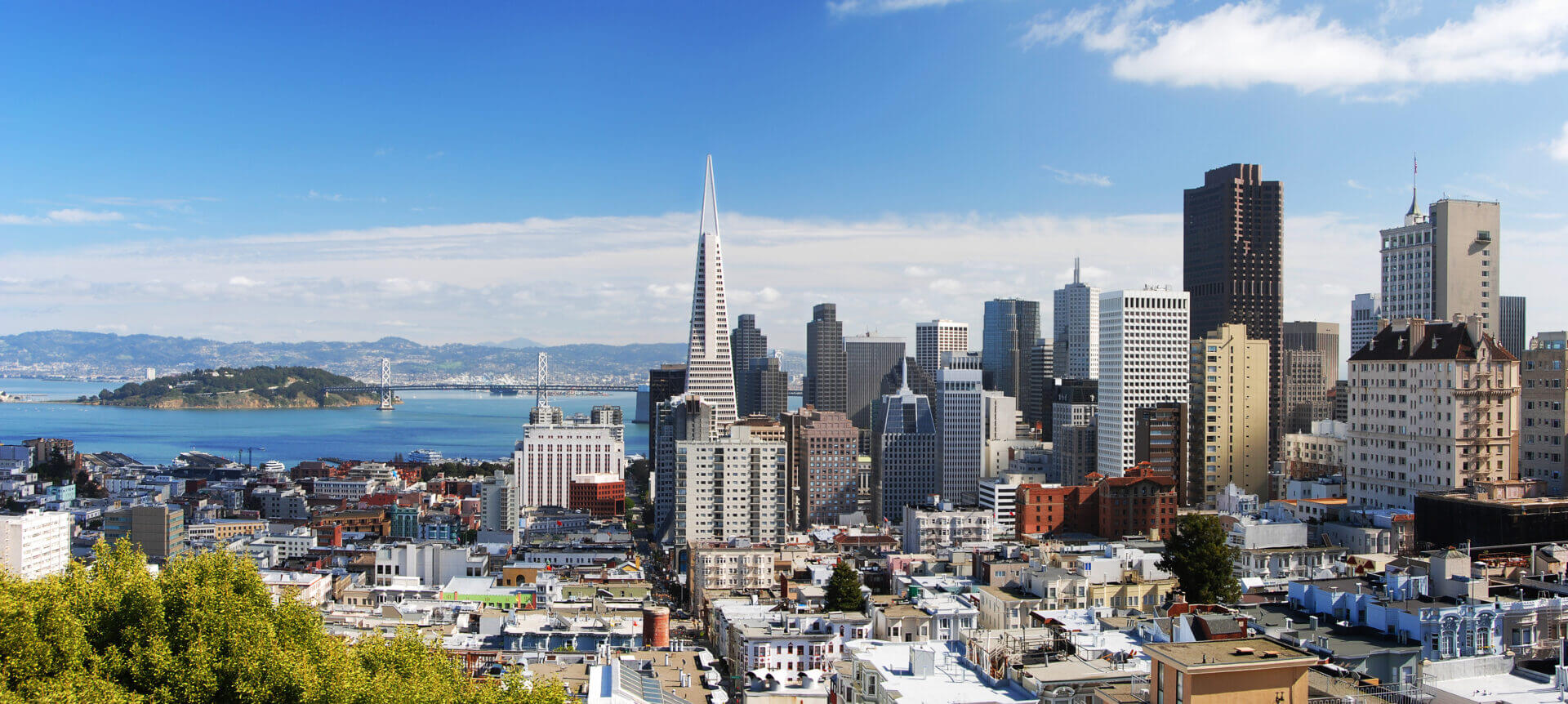 San Francisco City Panorama