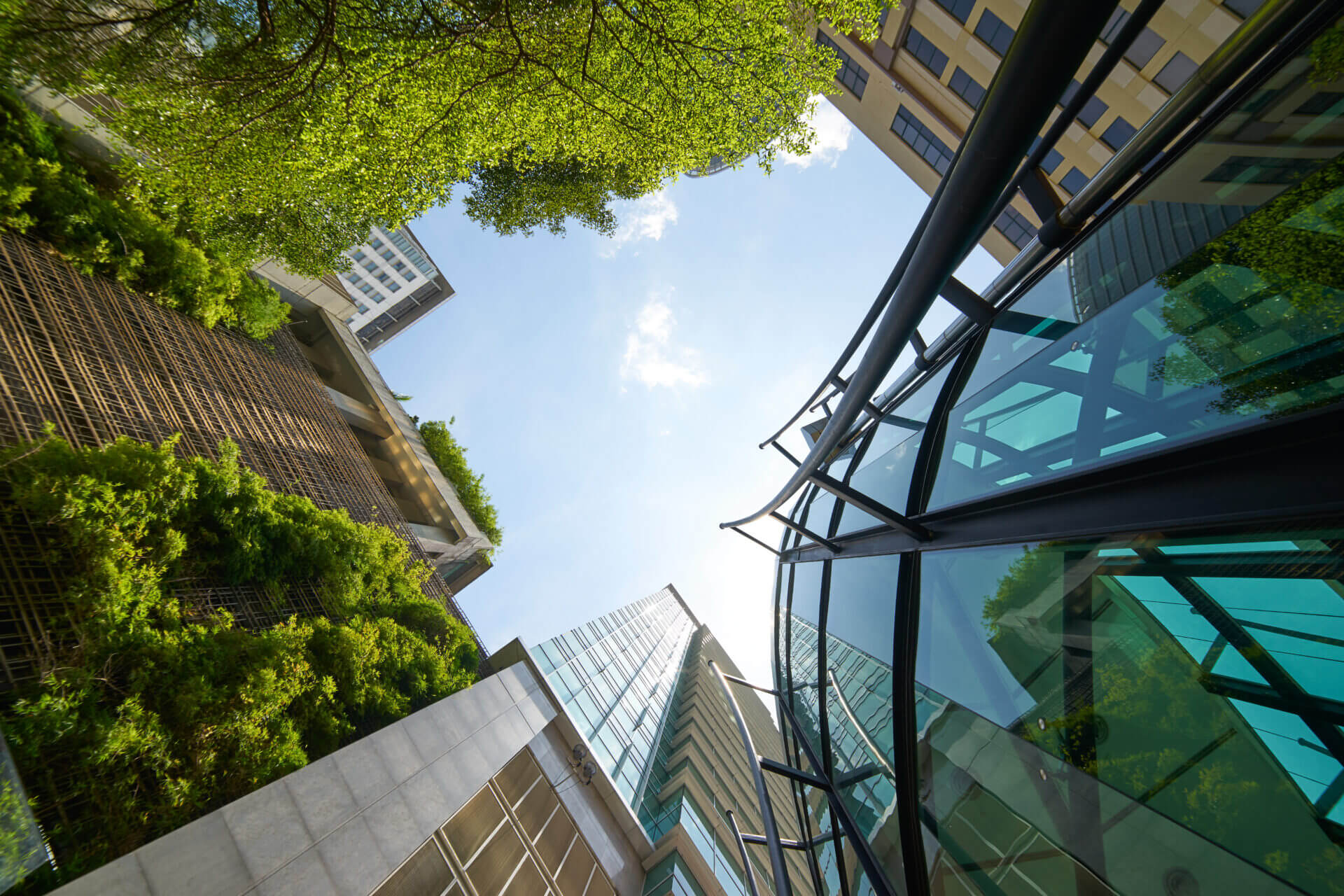 Low angle shot of modern glass buildings and green with clear sky
