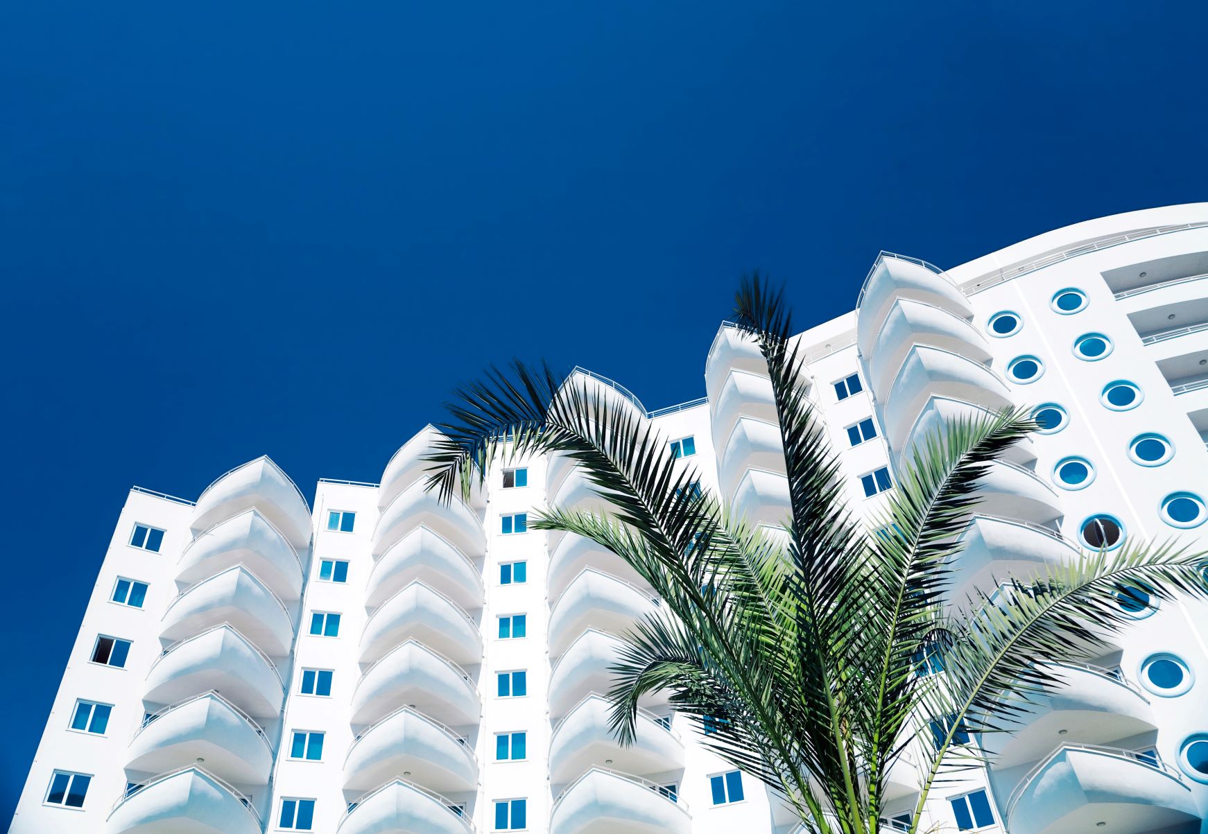 Picture of white hotel building with palm tree.